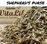 Shepherd's Purse